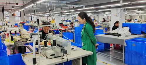 蓝山委员提案助推产业大发展，央广网聚焦社会经济咨询服务